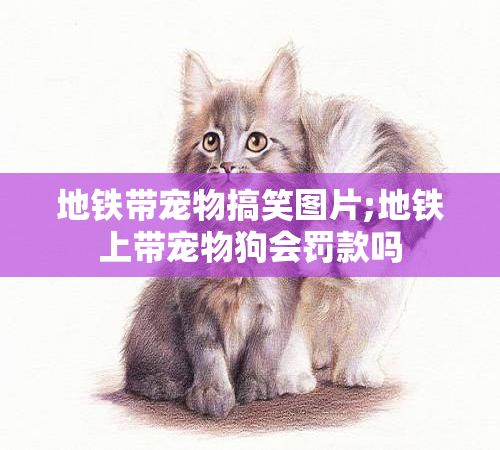 地铁带宠物搞笑图片;地铁上带宠物狗会罚款吗