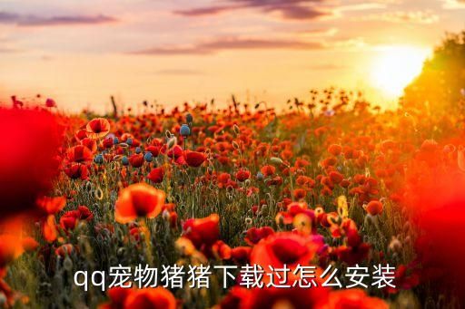  qq宠物猪猪下载过怎么安装