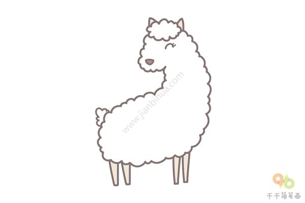 可爱的羊驼简笔画画法_羊简笔画