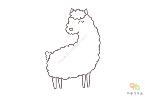 可爱的羊驼简笔画画法_羊简笔画