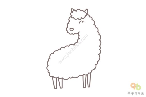 可爱的羊驼简笔画画法_羊简笔画