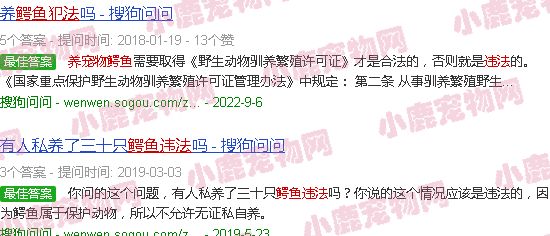 养宠物鳄鱼违法吗
