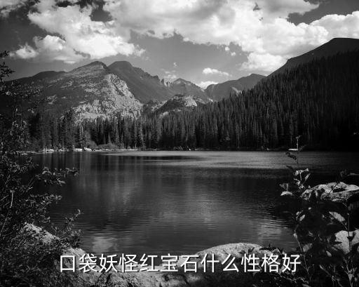 口袋妖怪红宝石什么性格好