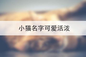 小猫名字可爱活泼