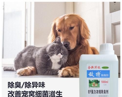 除去狗狗尿骚味的全面攻略（宠物家庭必备）