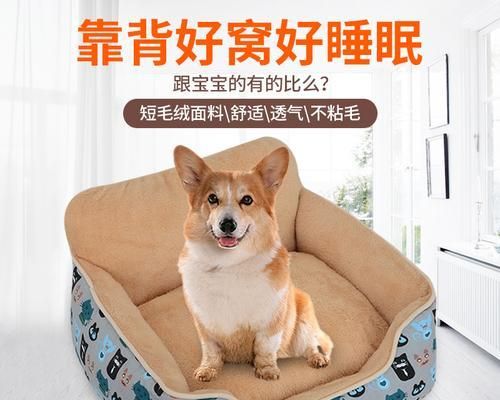 狗狗尿床去味大揭秘（宠物主人必看的清洁技巧）