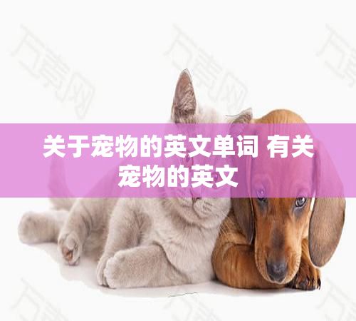 关于宠物的英文单词 有关宠物的英文