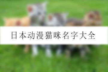 日本动漫猫咪名字大全