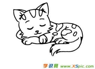 学识网 爱好 学画画 简笔画 小猫作为陪伴宠物一直以来都受到人们