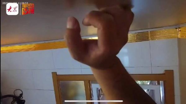 城市中的“动物消防员”！青岛90后小伙专业守护“毛孩子”