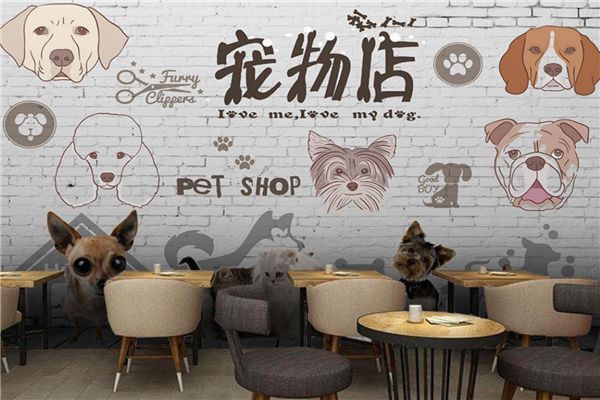 宠物用品加盟哪个好(宠物店加盟10大品牌排行榜)