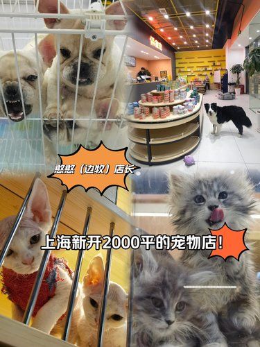 宠物基地新成员❗️2000平超大超便宜❗️❗