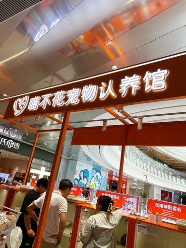 喵喵好想把你带回家～