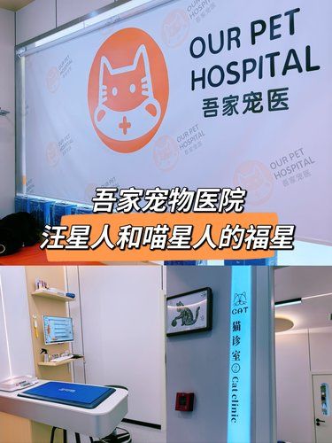 吾家宠物医院，汪星人和喵星人的福音！