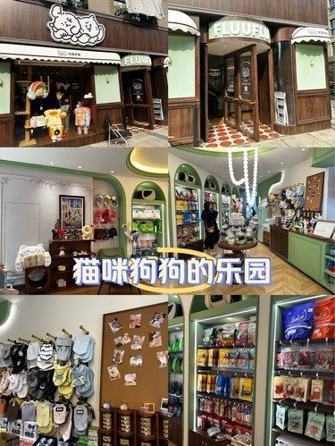 去一次就爱上的复古宠物店