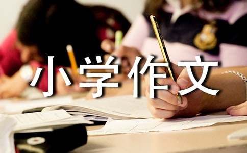 写宠物的小学作文