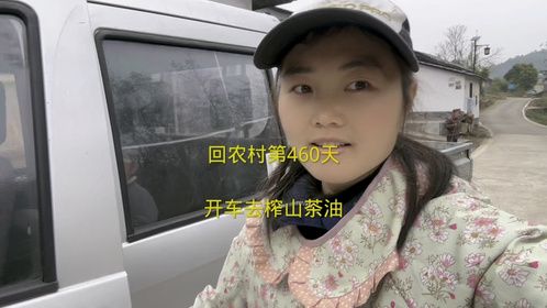 第一次开车进城榨山茶油，90斤茶籽，榨了24斤油！