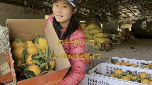 现在的赣南脐橙是口感最好的时候，又香又甜，真的很好吃！