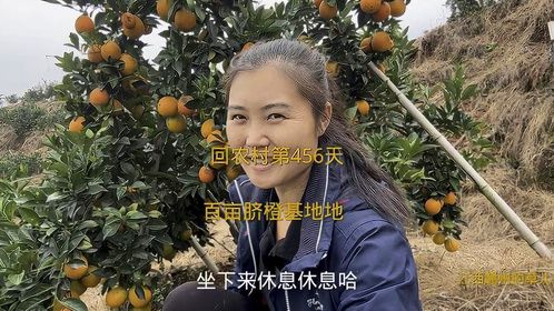 都说今年赣南脐橙少，看看这百亩脐橙园，真的产量少吗？
