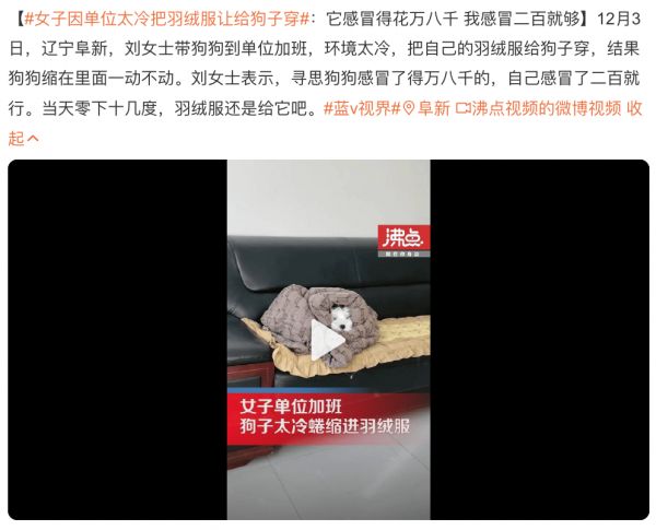 巨亏30亿!“暴利”的宠物医院,全都是泡沫
