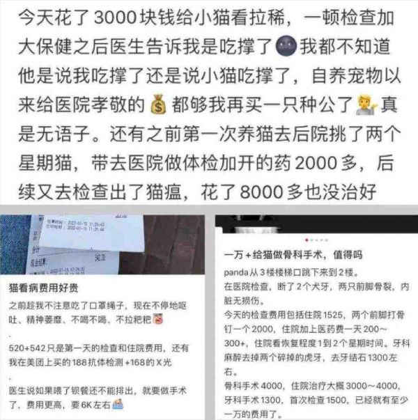巨亏30亿!“暴利”的宠物医院,全都是泡沫