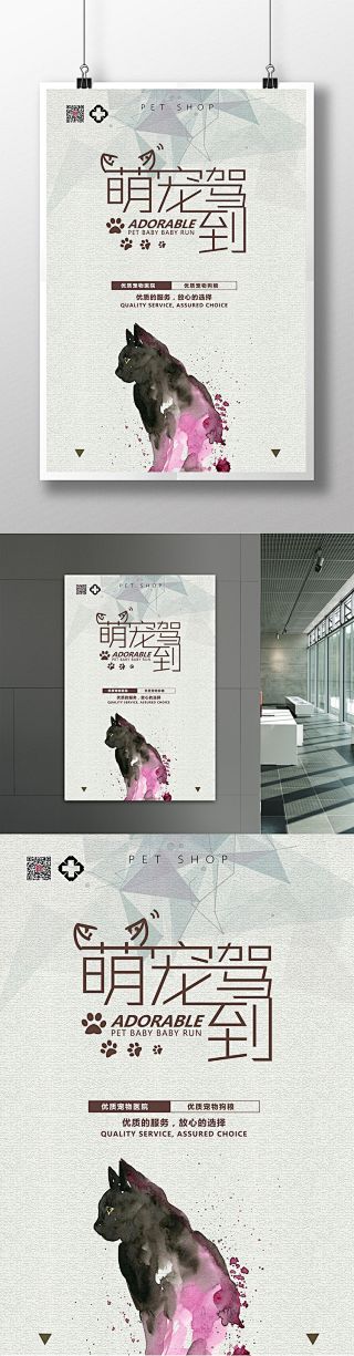 帝奇是条宠物犬采集到宠物系列海报