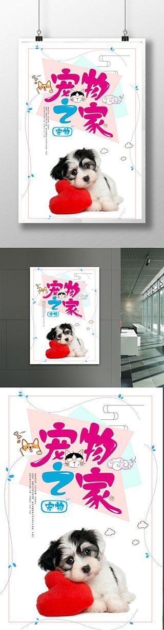 帝奇是条宠物犬采集到宠物系列海报