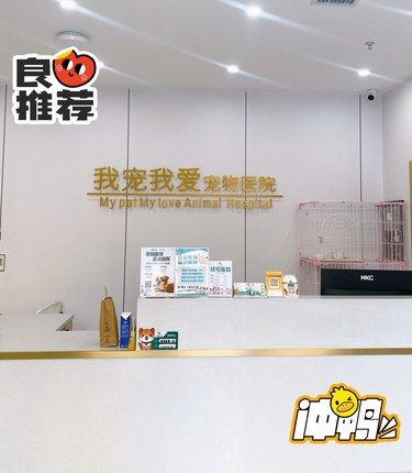 宠物诊所现在都这么先进了吗