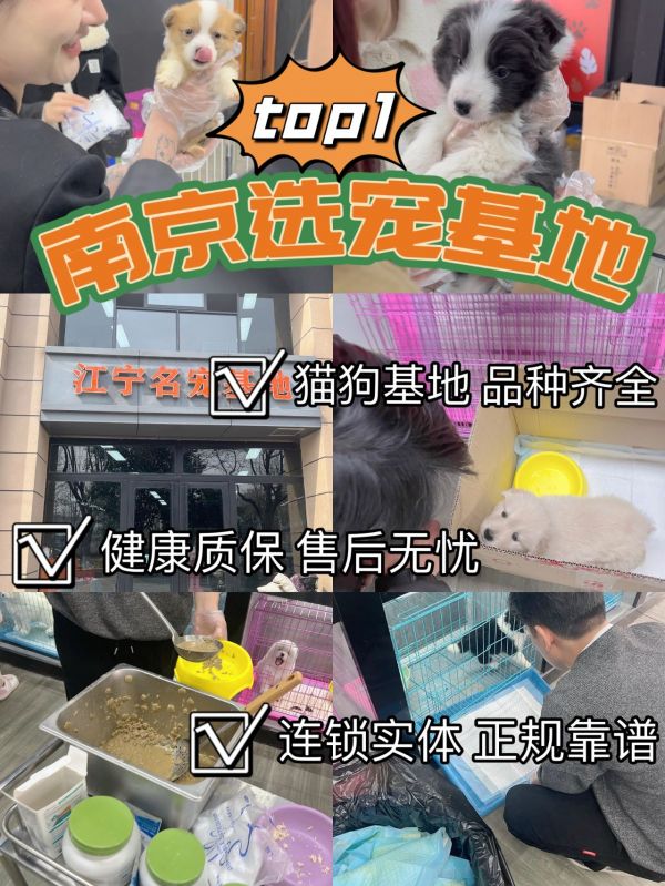 https://p0.meituan.net/binder/0d780687ccf3eaa6d4d74920d1b20d81660294.webp%40_100q%7Cwatermark%3D0%7Cformat%3Djpeg
