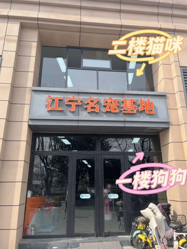 https://p0.meituan.net/binder/26ae8bdd7b096f91b8c7b4560e49495a501468.webp%40_100q%7Cwatermark%3D0%7Cformat%3Djpeg
