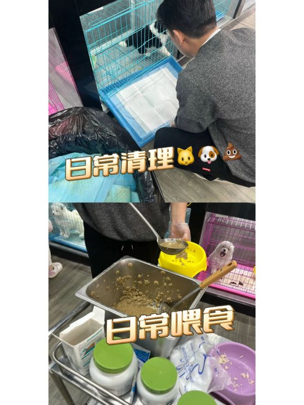 https://p0.meituan.net/binder/4899311b8b6434d3c14c234854dcd653492114.webp%40_100q%7Cwatermark%3D0%7Cformat%3Djpeg