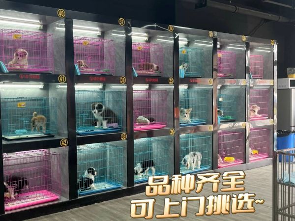 https://p1.meituan.net/binder/13ed575bd3e481f6d8205eb0f84d5864354088.webp%40_100q%7Cwatermark%3D0%7Cformat%3Djpeg