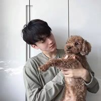 迎痕逢毁错
