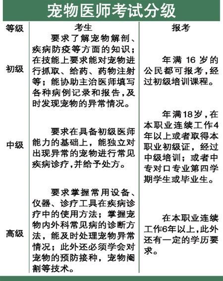 考宠物医生资格证多少钱（宠物医生证报考条件）