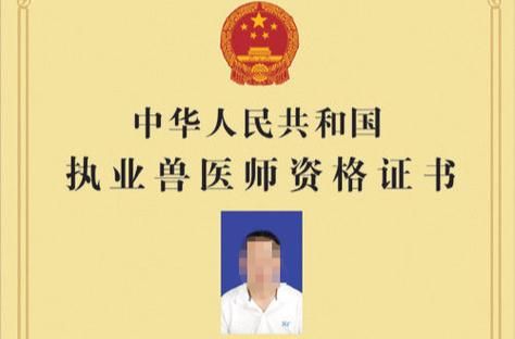考宠物医生资格证多少钱（宠物医生证报考条件）