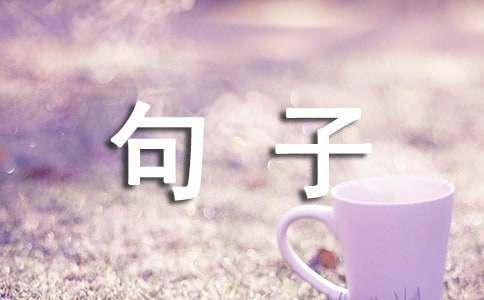 关于狗狗的温暖的句子
