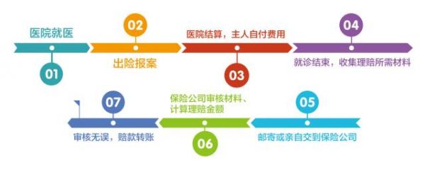 宠物医保怎么办理?宠物医保怎么办理流程!