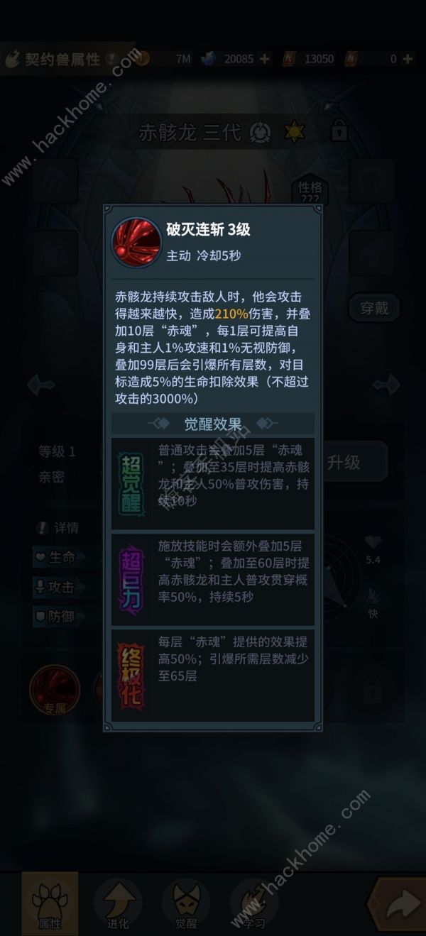 提灯与地下城新区选什么宠物好 新区新手宠物培养推荐图片6