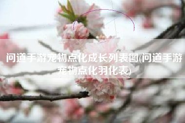 问道手游宠物点化成长列表图(问道手游宠物点化羽化表)