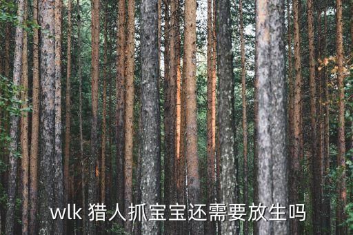  wlk 猎人抓宝宝还需要放生吗