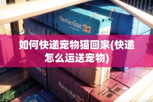 如何快递宠物猫回家(快递怎么运送宠物)