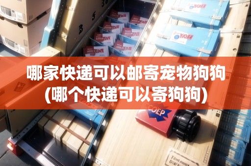 哪家快递可以邮寄宠物狗狗(哪个快递可以寄狗狗)