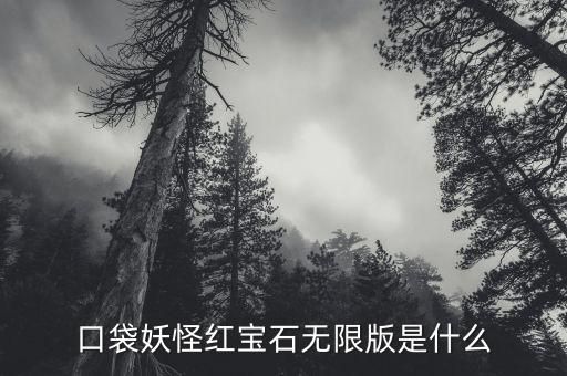 口袋妖怪红宝石无限版是什么