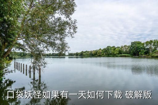 口袋妖怪如果有一天如何下载 破解版