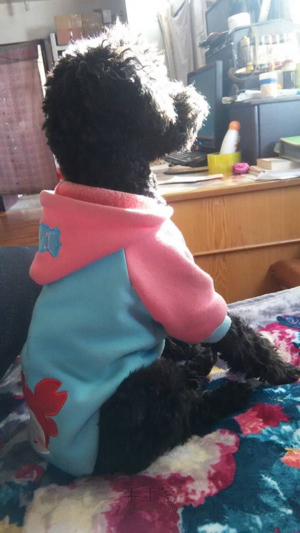 亲自给狗狗做衣服教程 第6步