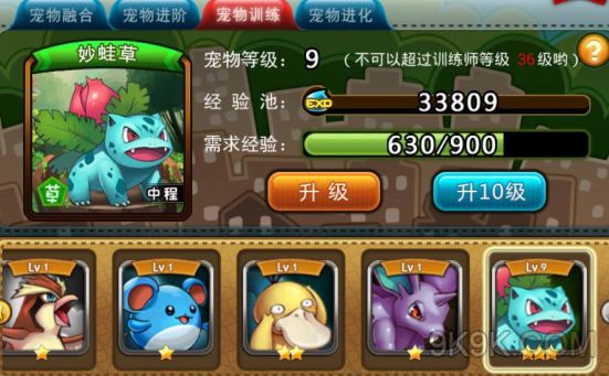 宠物小精灵宠物训练是什么