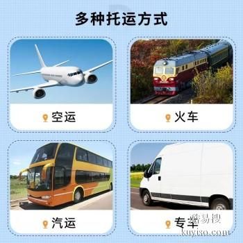 洛阳偃师 宠物托运小猫小狗活体托运快递至全国