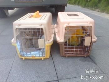 宁德萌宠空运公司