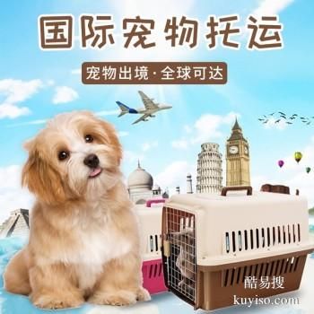 宁德萌宠空运公司