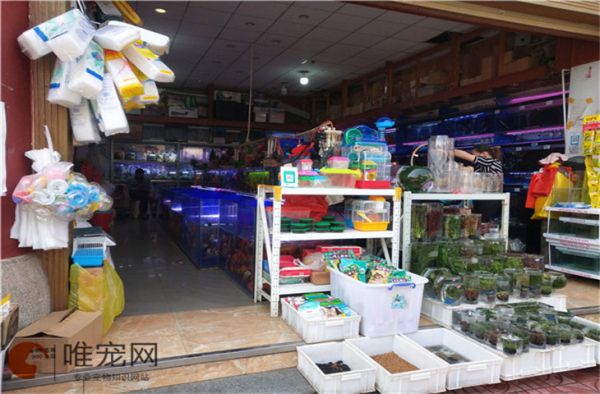 温州市花鸟宠物市场有哪些 地址在哪里